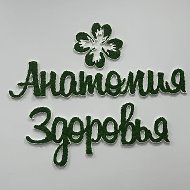 Анатомия здоровья P-DTR остеопатия мануальная терапия невро…